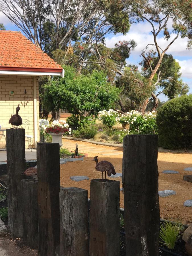 Yellow Gum Bed And Breakfast Katanning Экстерьер фото