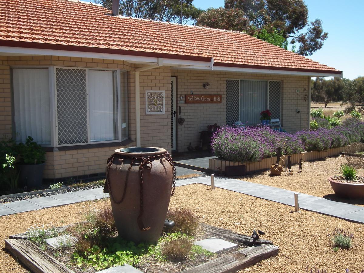 Yellow Gum Bed And Breakfast Katanning Экстерьер фото