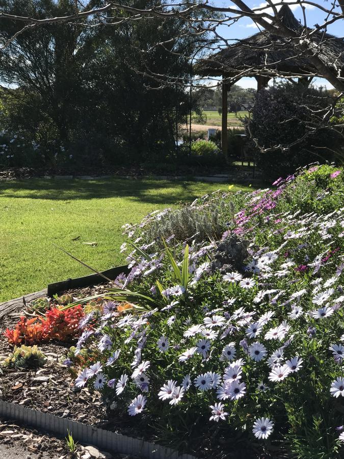 Yellow Gum Bed And Breakfast Katanning Экстерьер фото